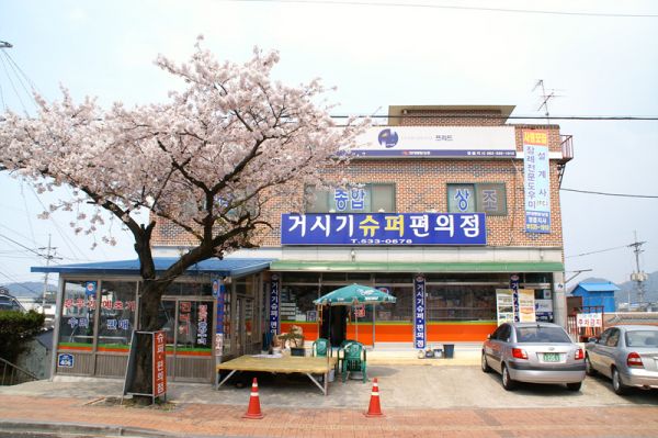 사용자 삽입 이미지