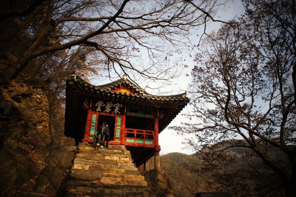 사용자 삽입 이미지