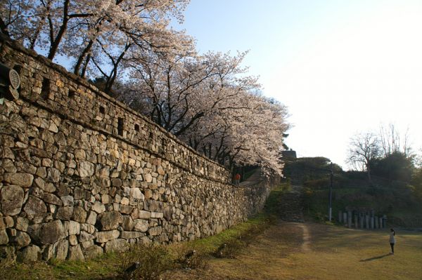 사용자 삽입 이미지